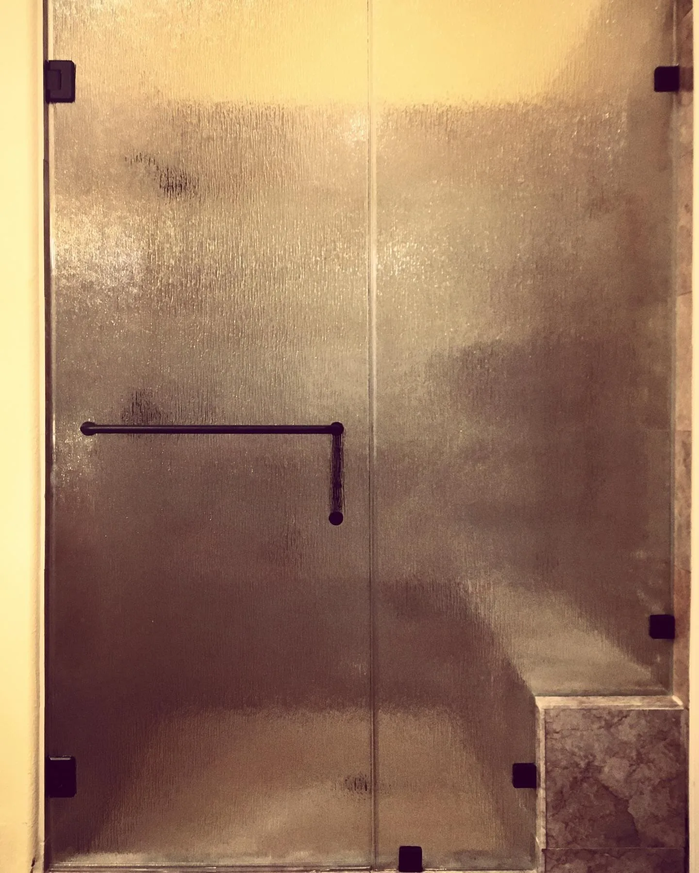 Rain glass shower doors with black hardware
